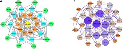 Polydatin Ameliorates Osteoporosis via Suppression of the Mitogen-Activated Protein Kinase Signaling Pathway